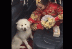 �Ҽ���ĦҮ�����Ǹ���ħ���΢Ц��ʹ����ģ�һ�ж����ҵĴ�����