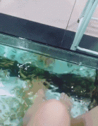 ��Ц���ӣ��Ҹ��Ṧ���Ů���������������飡