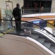 ��ЦЦ����˾����˵�������ǿ��ܲ��ţ��ǵ����ȶ����֣�