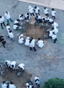 ��ЦЦ����������ĳ�ʦ��У������������ӵ�