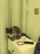 ���̶����岻�ã���λ��үÿ��ͳ�����ĸ���