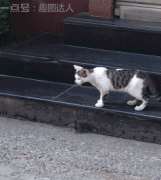 ���������ҽ��ͣ������ұ��ܷ�Ӧ����