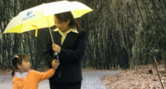 �������빫˾�����Ƶ��ĻӢ�з���