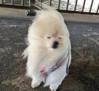 ż硰Ρѣҳɹ붬ôحȴʴ