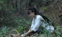ⱬ챳󣺻زȥĹ磬ӲĳС