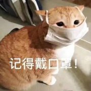 �ֿ�����ȴˤ��è������Ϊ�����ֱ�������Ƹ����