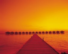 �������빫˾��ɽ���������ͭ�ܡ��������ķ���