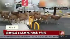 ����С¹��̩�����ӡ�ˮ�����������ڼ伯�塰���Ρ���û�뵽��